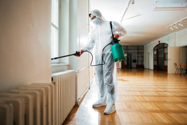 Flea Control Services in Rossville, IN